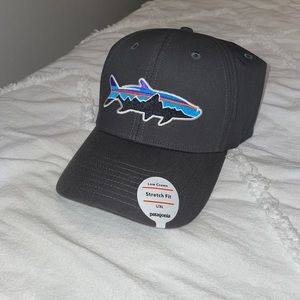Brand new (w/ tags) Patagonia Fitz Roy Tarpon Hat
